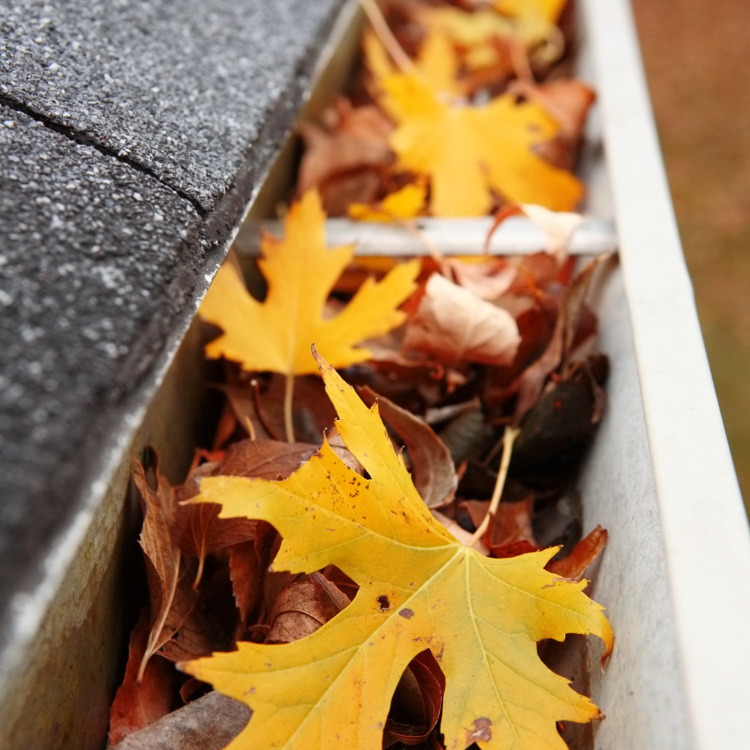 Seamless Gutter Services in Pensacola FL