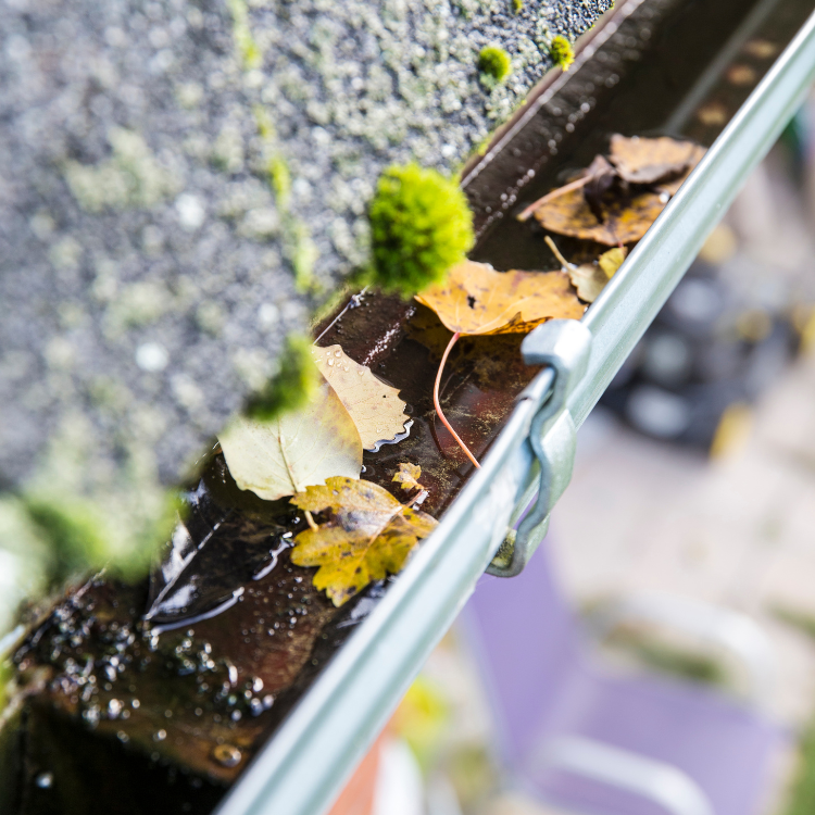 Gutter Cleaning in Pensacola FL