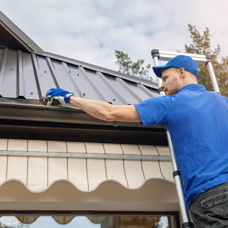 Gutter Cleaning in Pensacola FL